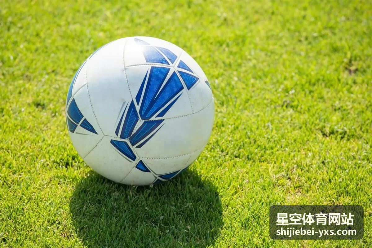 星空体育网站社区赛事互动平台案例